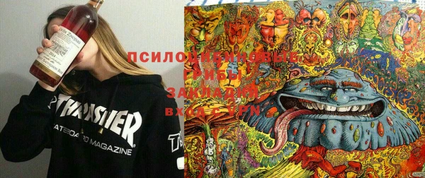 дурь Алексеевка